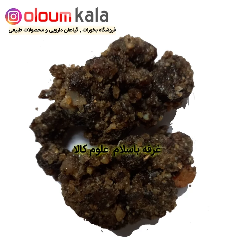 فاسوخ مغربی سیاه (50گرمی) کیفیت عالی