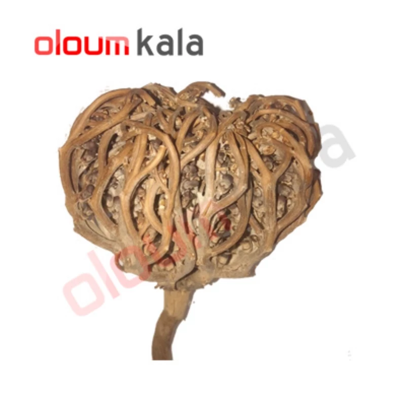 پنجه مریم یا کف مریم اصل  (50 گرمی)