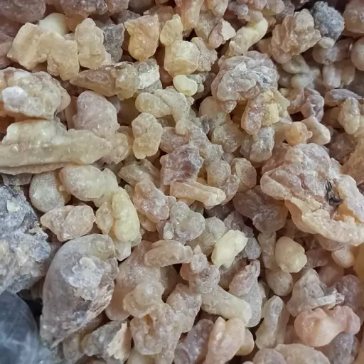 لبان ذکر
