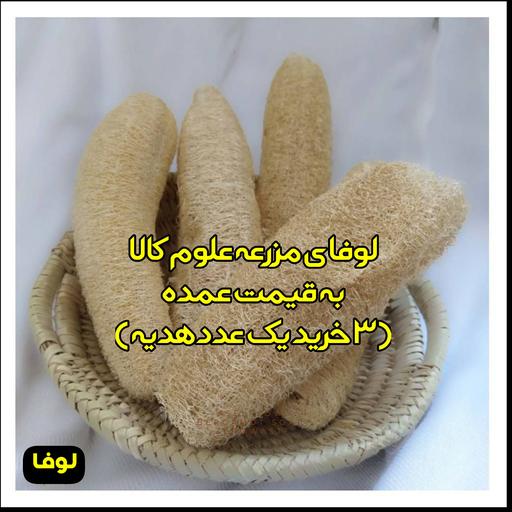 لوفا سایز متوسط 17cm الی 25cm (به قیمت عمده و با کیفیت ) 3 تا خرید یک عدد رایگان